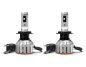 Preview: OSRAM H7 LED Night Breaker START Renault Clio 3 mit Zulassung